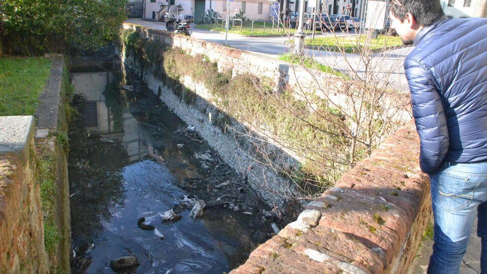 Cani e pesci morti nel condotto della vergogna