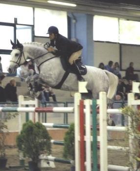 Colpito all’addome dal calcio di un cavallo, grave 67enne