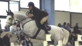 Colpito all’addome dal calcio di un cavallo, grave 67enne