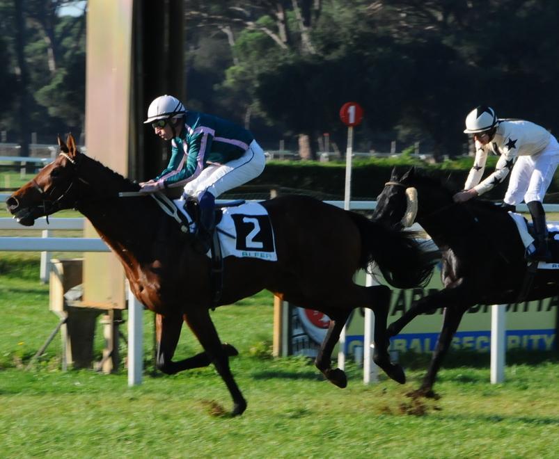 Galoppo: spicca il premio Cavalieri di S. Stefano 