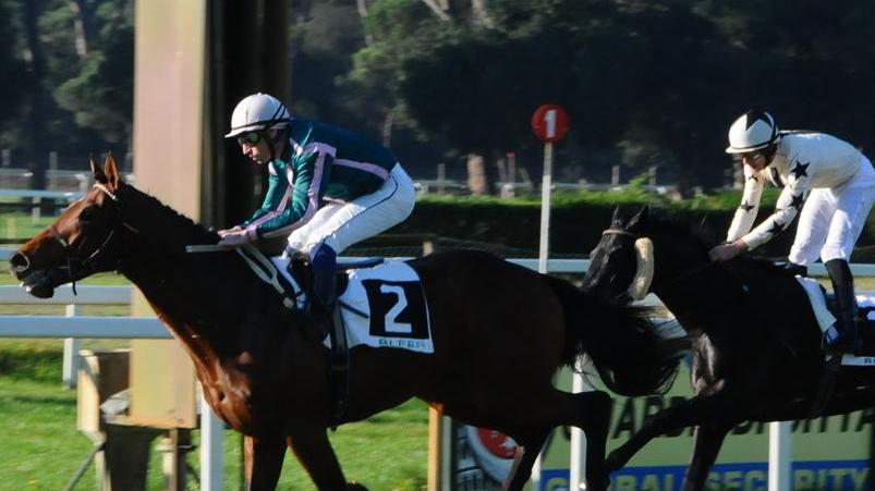Galoppo: spicca il premio Cavalieri di S. Stefano