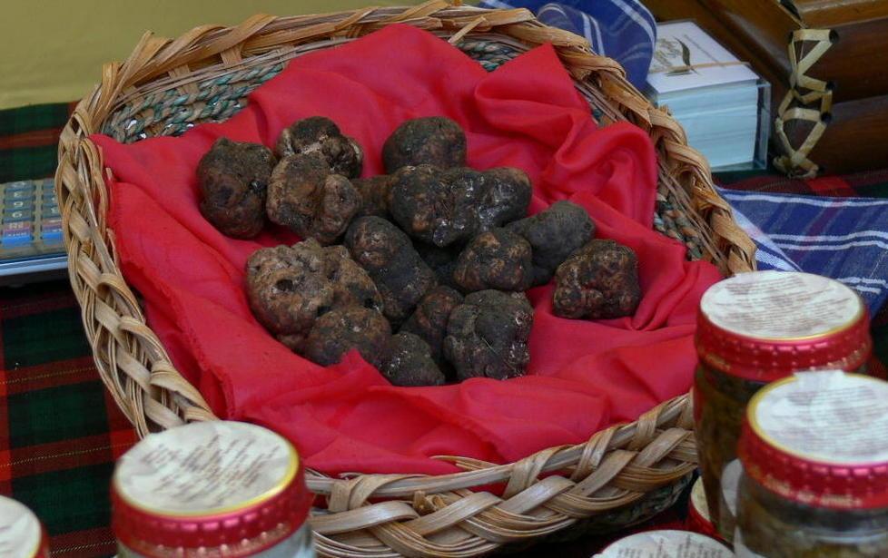 Giornalisti a scuola di... tartufo a Cigoli 