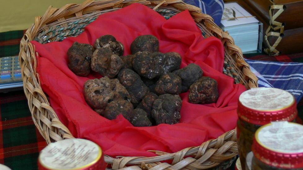 Giornalisti a scuola di... tartufo a Cigoli