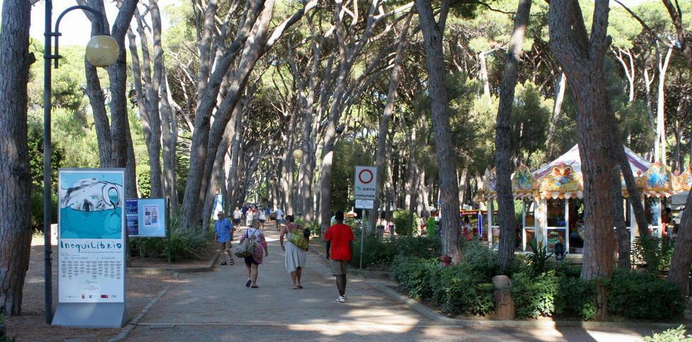 Abbattuti altri sei pini e si sposta il parco giochi 