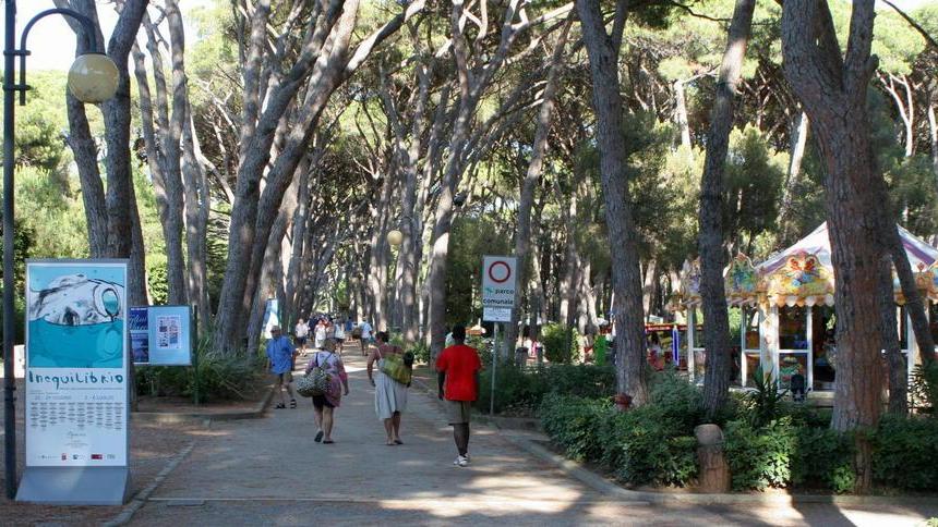 Abbattuti altri sei pini e si sposta il parco giochi