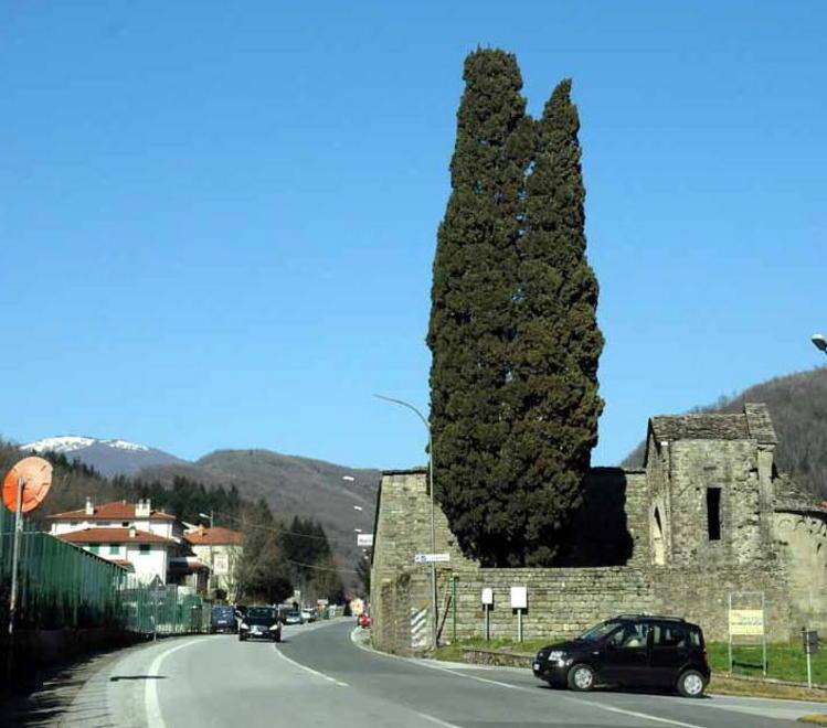 Pontremoli sotto choc «Aveva tutta la vita davanti» 