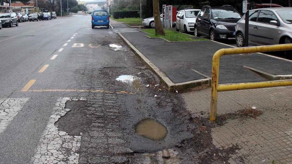 «Quante buche in via Costanza, riparatele»