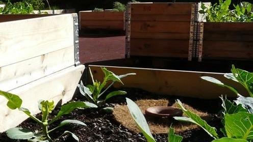 Alla Bergonzi il kit per fare l’orto