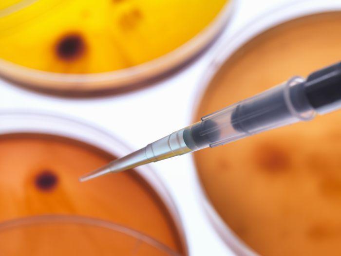 Nasce il primo farmaco a base di staminali, grazie a Unimore
