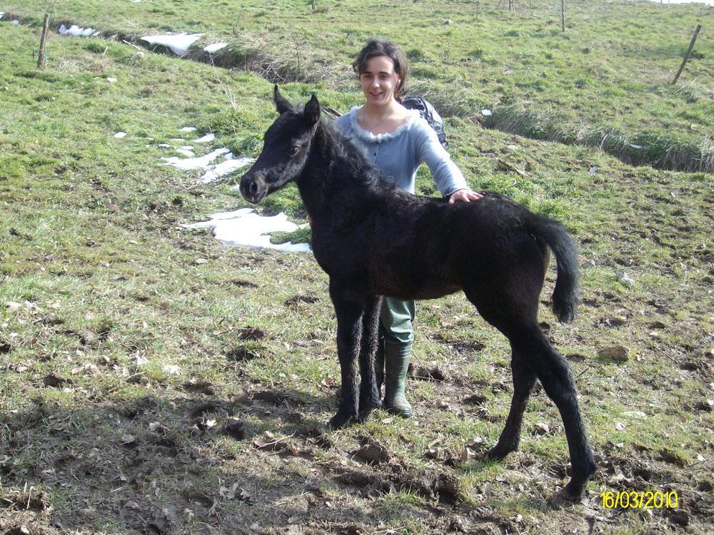 «Io, pastora di 28 anni, e i lupi» 