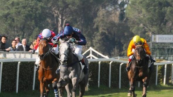 Uno sprint a san Rossore