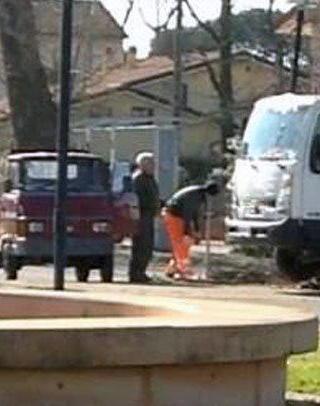 Caso Fruzza Sea apre un’inchiesta sulla legna ai privati 