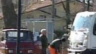 Caso Fruzza Sea apre un’inchiesta sulla legna ai privati