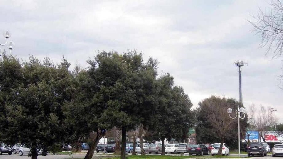 Il Comune vuol comprare il rifugio e i campi da calcio