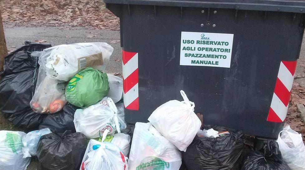 «Con il porta a porta proliferano i topi»