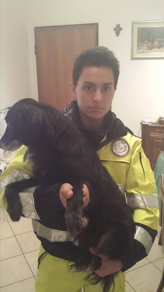 Il cane con un volonatario 