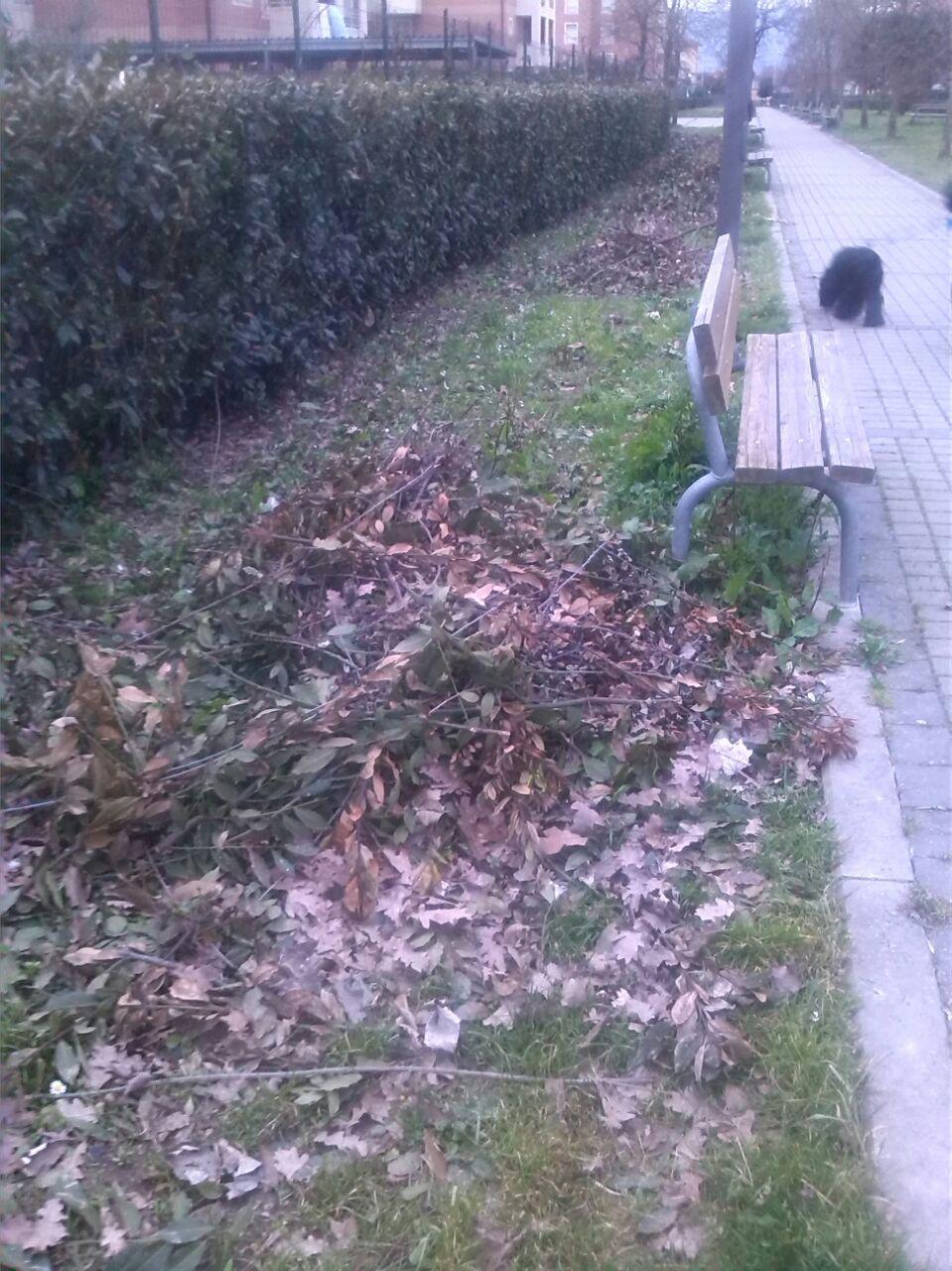 Le foglie secche lasciate nel giardino di via Traversa Pistoiese