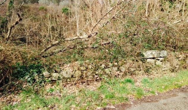 Il ponte medievale in condizioni di grave degrado