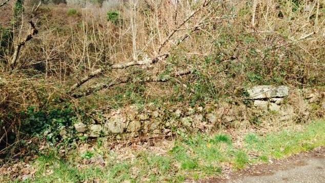 Il ponte medievale in condizioni di grave degrado