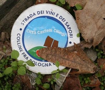 Federici: «È un errore lasciare la Strada dei vini» 