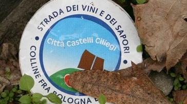 Federici: «È un errore lasciare la Strada dei vini»