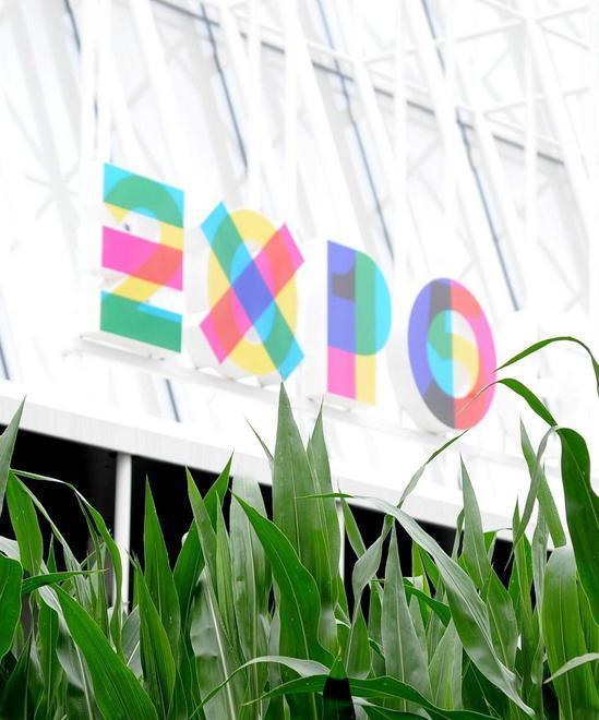 Quattro Comuni della Valdinievole bussano all’Expo 