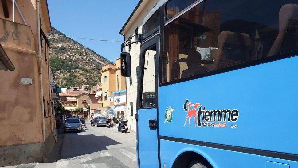 Una flotta di nuovi autobus per muoversi in città e fuori