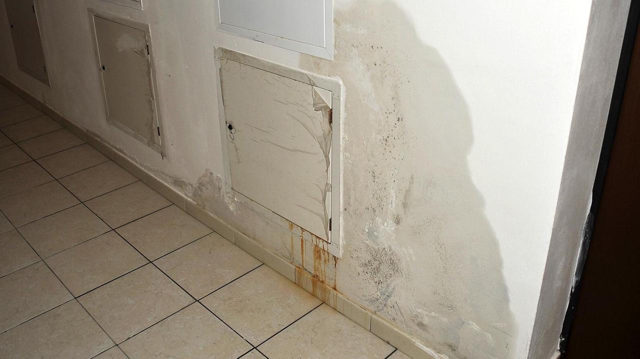 Infiltrazioni d'acqua negli alloggi Casalp della Bricchetteria (foto Gio' Di Stefano)
