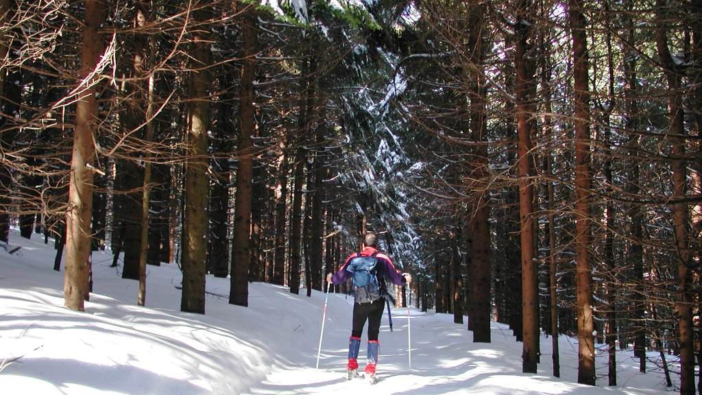 Piane di Mocogno: una stazione “familiare”