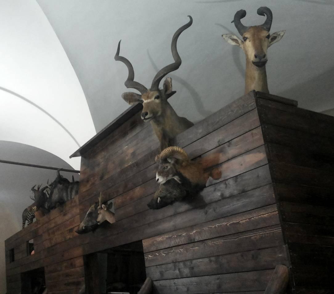 Una riproduzione dell'Arca di Noè
