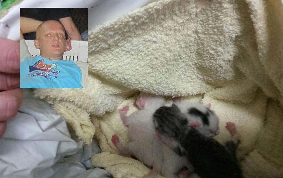 I gattini neonati buttati in un cassonetto e salvati dal carabiniere Gianni Cannevale (nel riquadro) 
