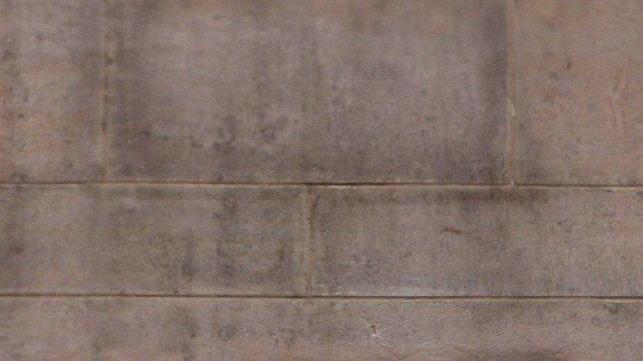 Il fumo di Birkenau diventa un libro dedicato ai giovani