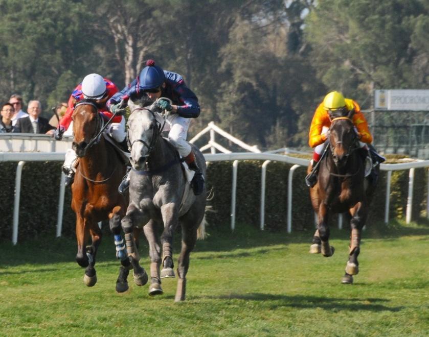 Ippica, riflettori sul premio Cristiani 