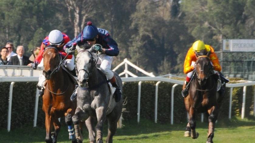 Ippica, riflettori sul premio Cristiani