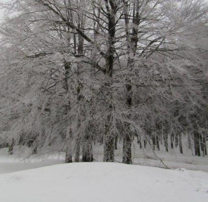 Ancora neve sul monte Amiata In vetta 1,2 metri 