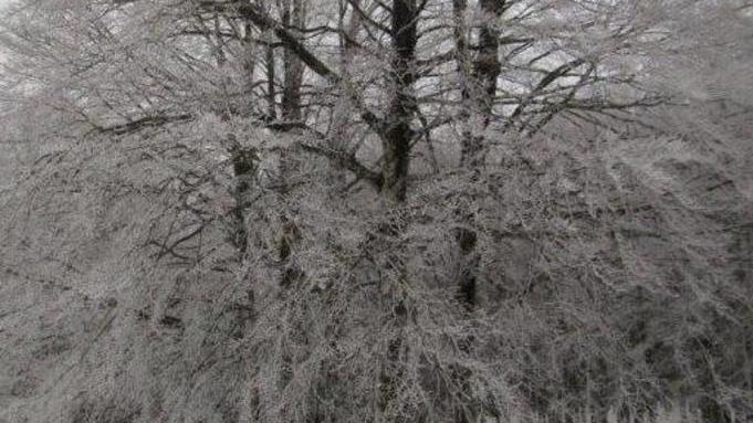 Ancora neve sul monte Amiata In vetta 1,2 metri