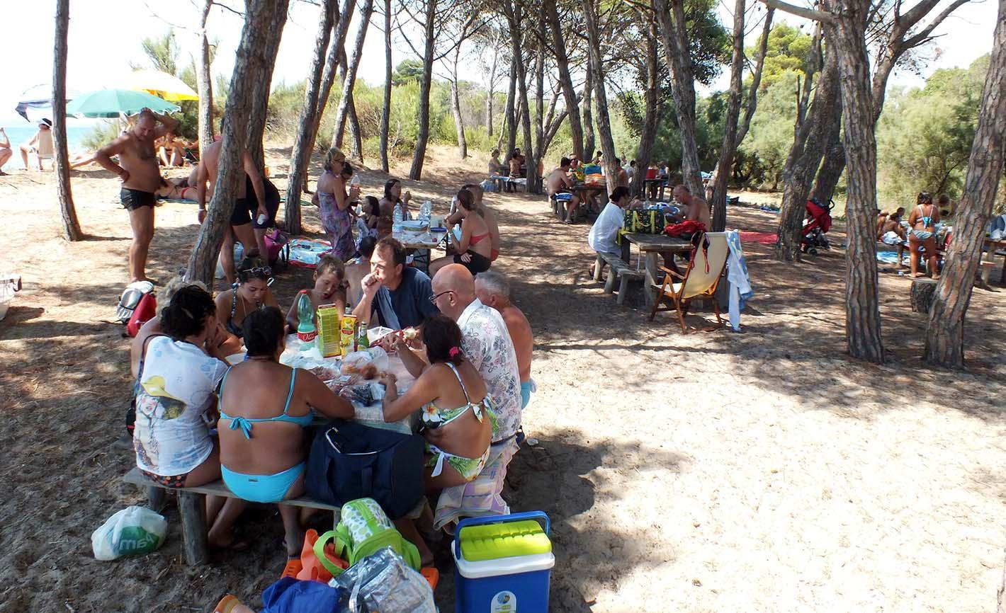 Il parco della Sterpaia, uno dei gioielli turistici della Val di Cornia