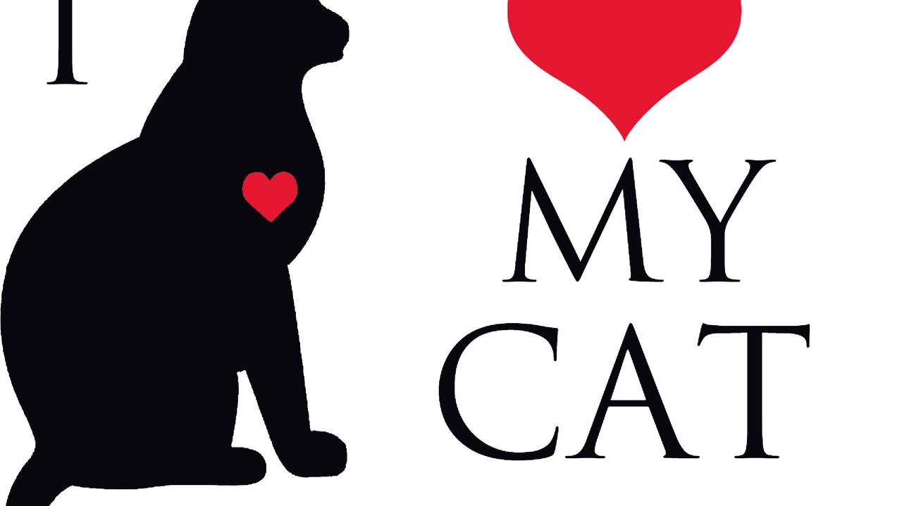Il logo dell'oasi felina della Bogaia