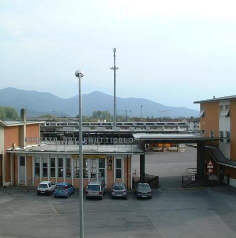Pulia, un consorzio gestirà il rilancio 