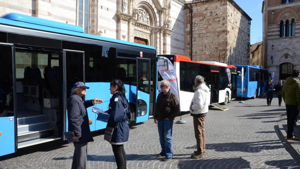 Rinnovata la flotta della Tiemme con 21 autobus per la provincia