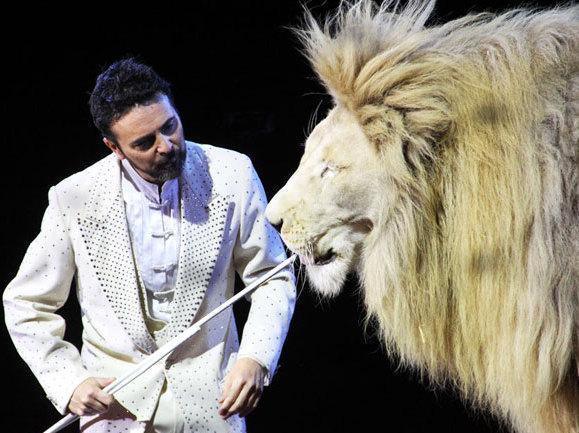 Lo show del circo in piazzale don Baroni 