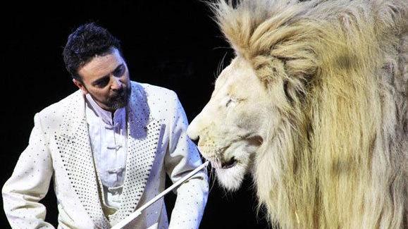 Lo show del circo in piazzale don Baroni