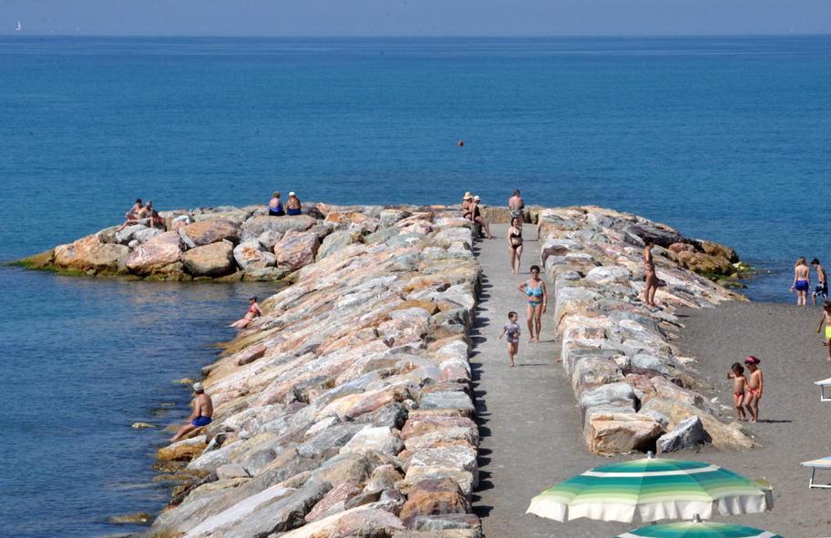 Uno dei pennelli costruiti a Marina di Cecina (foto Falorni/Silvi)