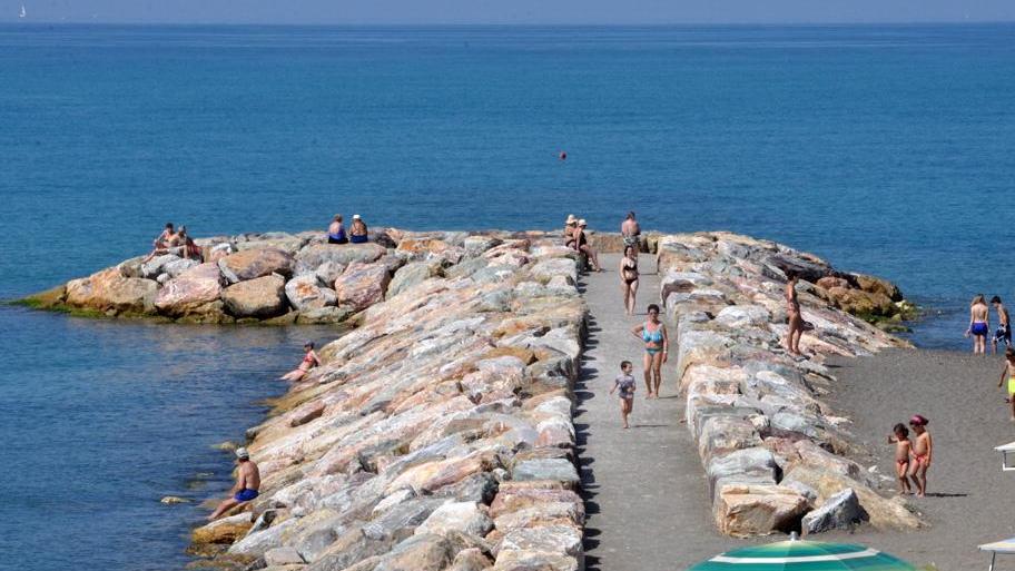Uno dei pennelli costruiti a Marina di Cecina (foto Falorni/Silvi)