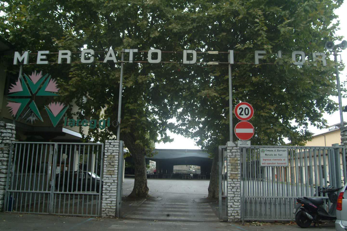 Il mercato dei fiori di Viareggio