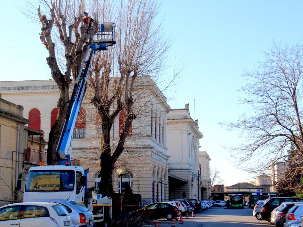 Le potature  nella zona della Stazione