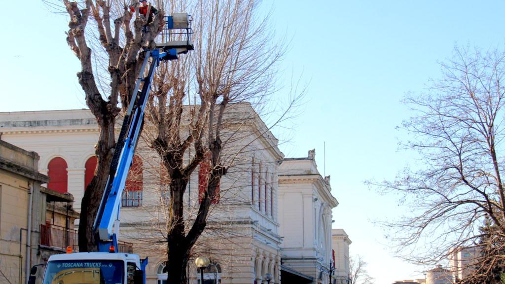 Le potature nella zona della Stazione