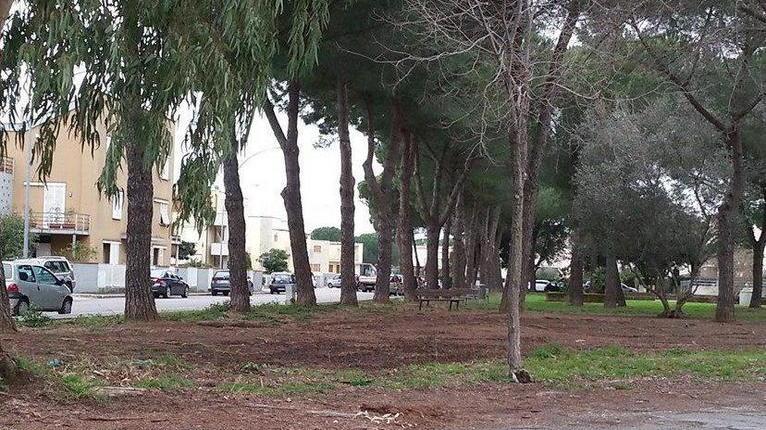 S. Luigi, smantellata l’area per cani