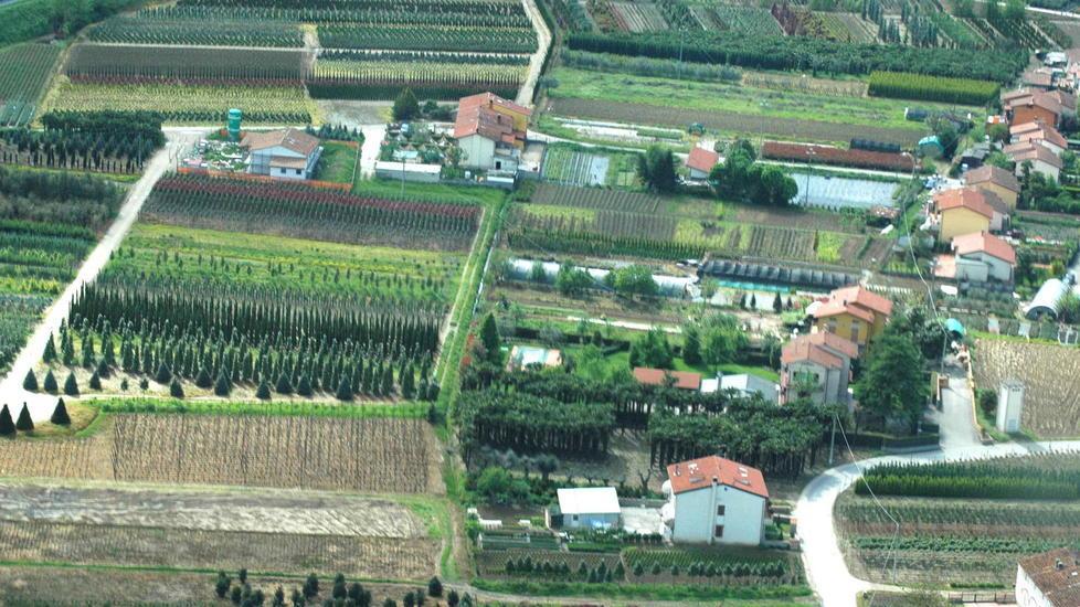 Controlli più rapidi contro i fitofarmaci Vigili in prima linea