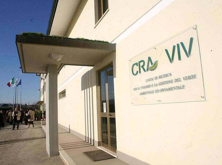 Soluzione verde contro l’aria inquinata 